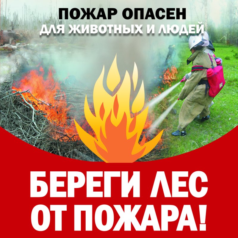 Порядок использования открытого огня на землях сельскохозяйственного назначения, в лесных массивах и на территории личных подсобных хозяйств.